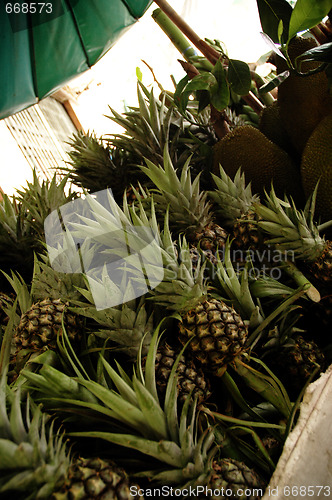 Image of PINEAPPLE