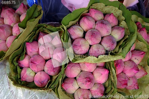 Image of FLOWERS