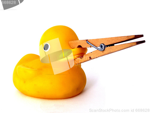 Image of rubber duck