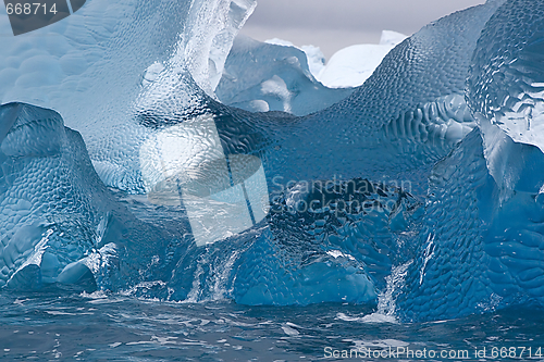 Image of Iceberg