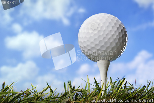 Image of Golf ball in grass, close up