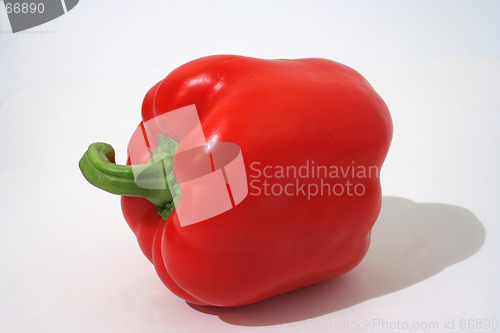 Image of One red pepper