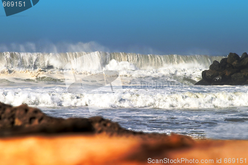 Image of Drift Wood