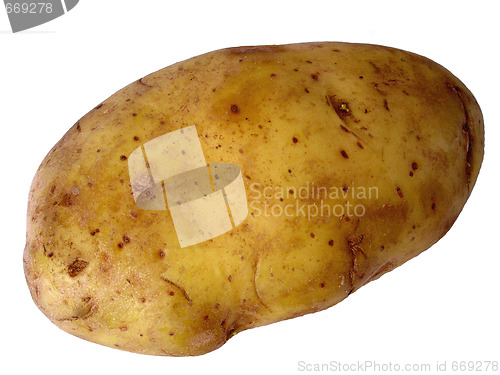 Image of potato
