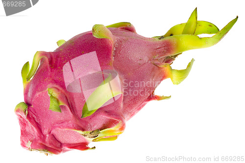 Image of Tropical fruit - Pitaya