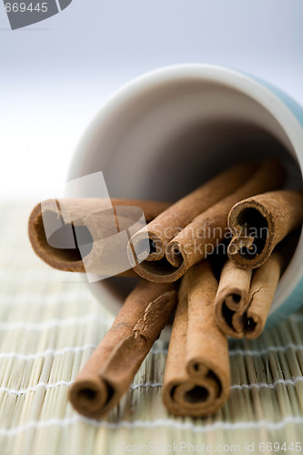 Image of Cinnamon sticks in a cup.