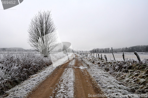 Image of Winter road