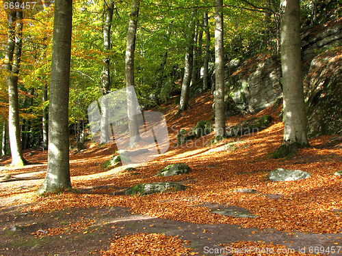 Image of Autumn view 