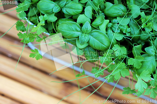 Image of herbs