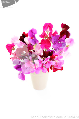 Image of sweet pea flowers