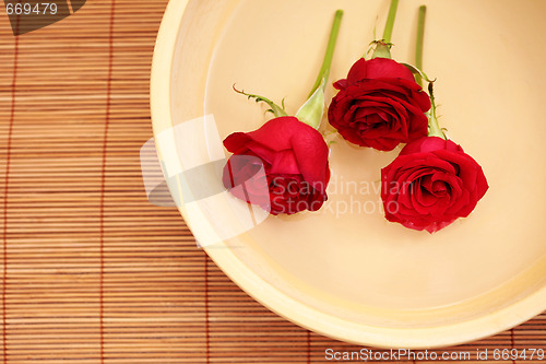 Image of floating flowers