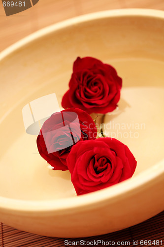 Image of floating flowers
