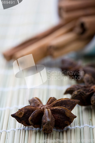 Image of Aniseed and cinnamon.