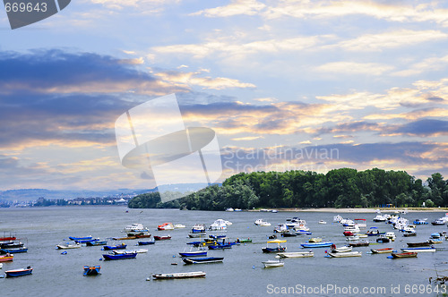 Image of River boats on Danube