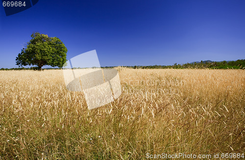 Image of Bright colors of harvest season