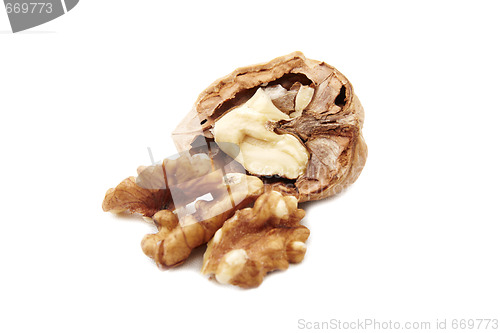 Image of Walnuts