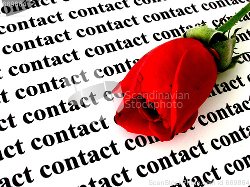 Image of contact