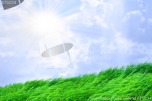 Image of sun on the sky