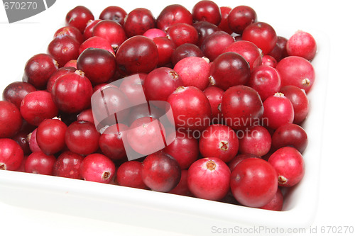 Image of Cranberries.