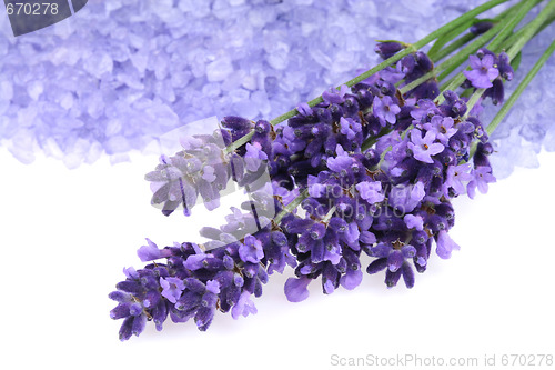 Image of Lavender and salt