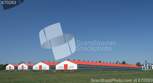 Image of Poultry farm