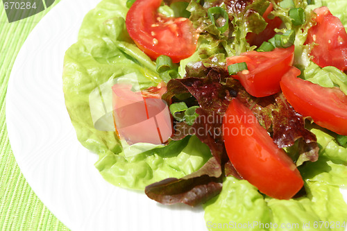 Image of Salad.