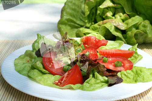 Image of Salad.