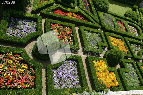 Image of Beautiful garden