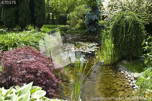 Image of peaceful garden