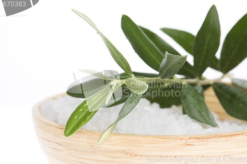 Image of fresh olive branch and bath salt isolated on the white backgroun
