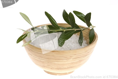 Image of fresh olive branch and bath salt isolated on the white backgroun