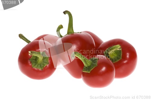 Image of red hot chili peppers