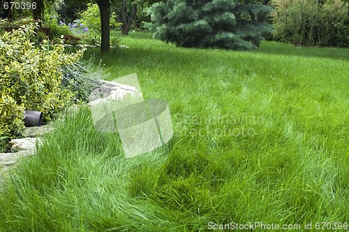 Image of peaceful garden