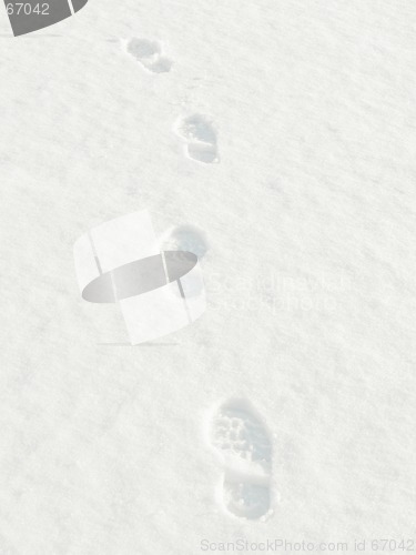 Image of Footprints in the Snow