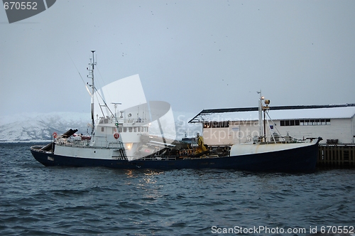 Image of Fishingboat filled with herring