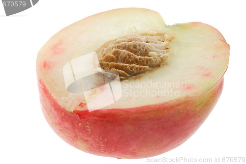 Image of Nectarine