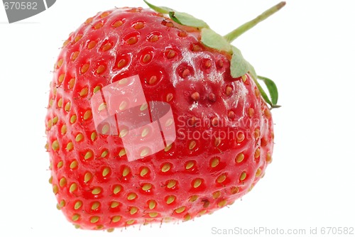 Image of Strawberry