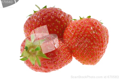 Image of Strawberry