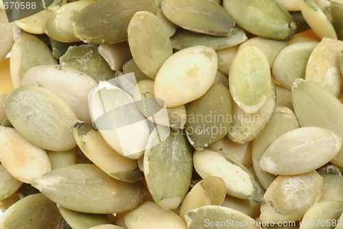 Image of Pumpkin's seeds