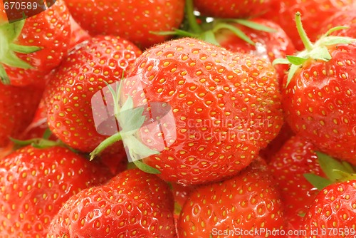 Image of Strawberry