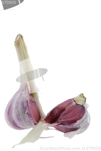 Image of Garlic