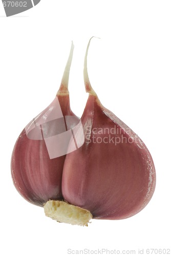 Image of Garlic