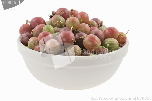 Image of Gooseberry