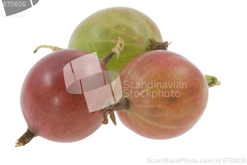 Image of Gooseberry