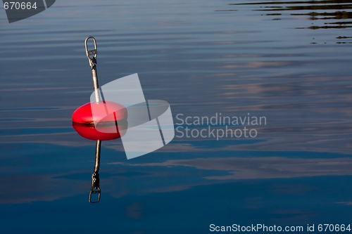 Image of red buoy