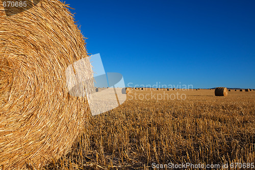 Image of Big Round Haybales