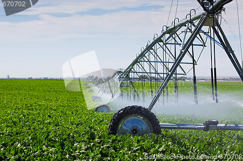 Image of Irrigation Pivot