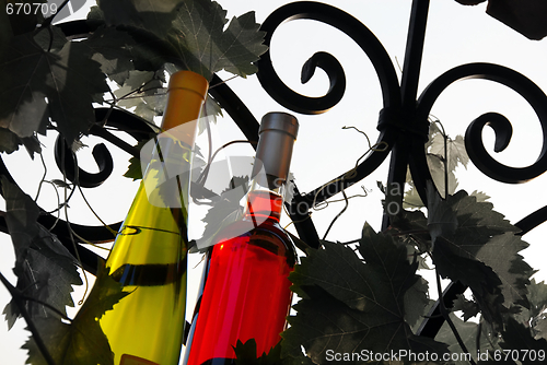 Image of Wine bottles between vine leaves