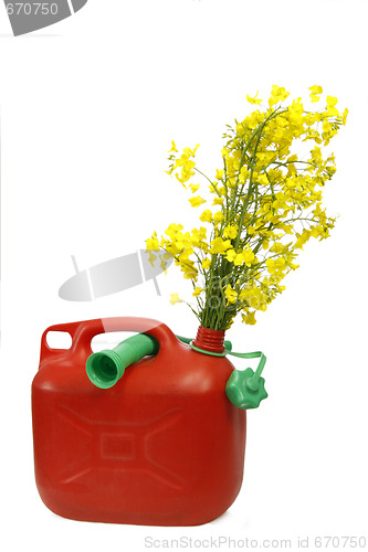 Image of Biodiesel