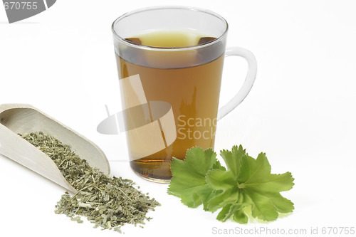 Image of Tea of ladys mantle
